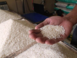 Nasdem Heran Beras Impor Masuk di Sabang