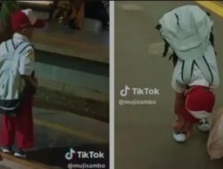 Farida: Berbagai Langkah Diupayakan untuk Bantu Hafithar