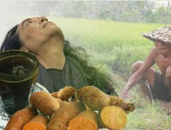 Secangkir Kopi Bersama Ubi Setengah Matang