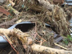 Pengamat Hukum: Temuan Kayu Gelondongan di Banjir Sumatera Mengarah ke Unsur Pidana