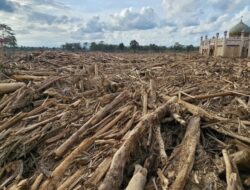 Sumatera Butuh Empati, Indonesia Butuh Solusi