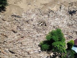 Alotnya Label Bencana Nasional