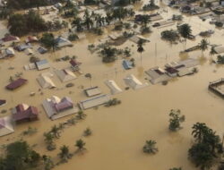 Luka di Hulu Aceh Tamiang: Saat Sawit Menggusur Hutan dan Mengundang Banjir