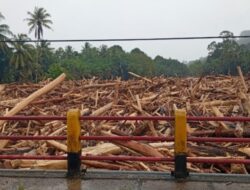 Kemenhut Harus Ungkap Dalang Penyebab Bencana di Sumatera