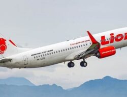 Pemerintah Didesak Buka Penerbangan Darurat Jangkau Daerah Terisolasi Bencana