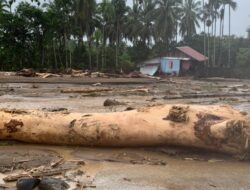 Banjir Sumatera Peringatan Keras agar Tata Kelola Hutan Wajib Dibongkar Total