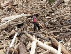 Negara Jangan Sampai Kalah Hadapi Perusahaan Pemicu Bencana Sumatera